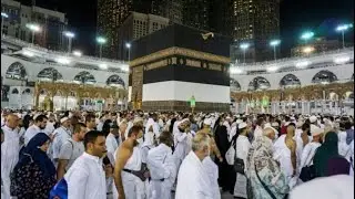 الحاج أحمد 🎤🎻 زفه الحجاج  🕋  اغاني الحج ❤️ انتاج هاله فون