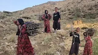 Real nomadic life in the heart of Iranian nature | Firewood collection and nomadic daily life