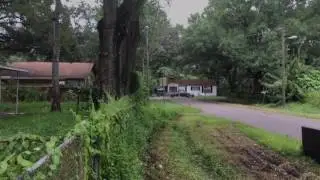 3016 N 73rd Street Tampa, FL 33619