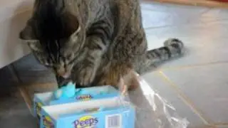 Peeps vs. Peeps - The Easter Monster Attack!!!