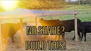 FARM SERIES- DIY HOW-TO BUILD PASTURE SHADE