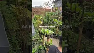 Kedatangan Tamu Makan Bareng di MINI GARDEN AA FAMILY #minigarden