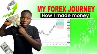 How I made money in Forex Trading - My forex journey