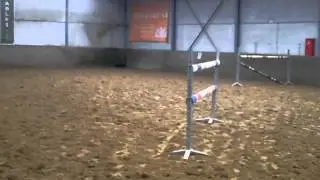 Bailar Vancouver training