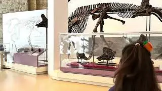 Toronto. 4 ROM Museum ￼￼!!!!