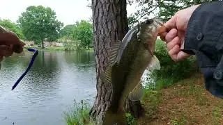 Walmart Ozark Trail OTX Fishing Rods - are they worthy?
