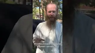 Мерин или Жеребец? #лошади