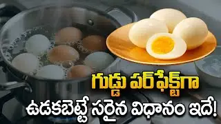 గుడ్డు పర్‌ఫెక్ట్‌గా ఉడకబెట్టే సరైన విధానం ఇదే! | How To Boil Eggs Perfectly | How to Boil Eggs