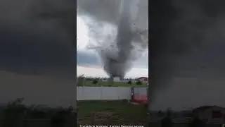 Normal Summers - Canada Suburbs