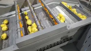 Automatic Fruit and Vegetable Washing  Machine potato vegetable washer washing machine#LONKIAMACHINE