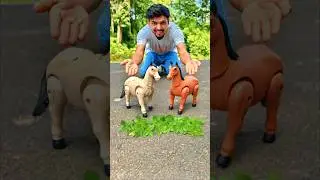 Dekho RC Horse aur Remote Control Horse Unboxing