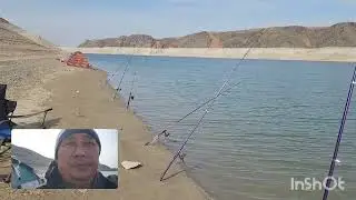 курты 🐟