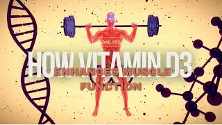 The Power of Vitamin D3 and How it Enhances Muscle Function