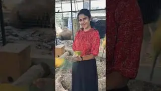 Popular farm house🤩🦜🐶.     #pets #kerala #tripwithfamily #happiness