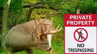 How to Get Permission to Hunt Private Property