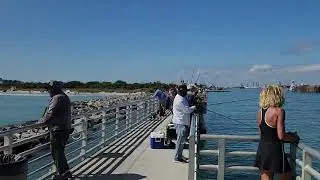 Falcon 9 10-83 launch from the Jetty Park at Cape Canaveral 10-29-25 