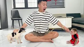 Monkey Cubis Angry puppy Lucky! Will Dad stop it?