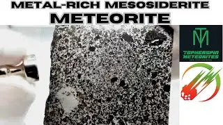 Mesosiderite High Metal Meteorite ☄️ Tanezrouft 091 - Meteorite Magnet Test
