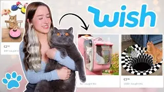 TESTING WEIRD CAT GADGETS FROM WISH...