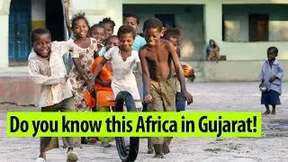 Know why Jambur is called the mini African Village of Gujarat!