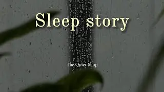 A Calm Rainy Story | Sleep Story | The Quiet Shop