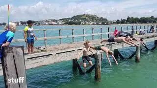 Devonport fights to save Kiwi tradition of wharf jumping