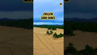 Reclaiming the Oregon Dunes: Battling Invasive Species