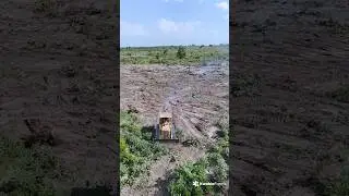 The bulldozer keeps clearing, with open space stretching behind it.