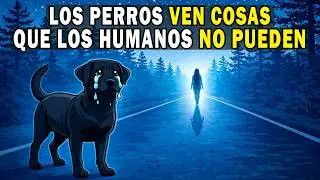 Lo que pueden CAPTAR te dejar&aacute; HELADO!!