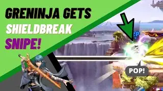 Byleth: Useless move gets Greninjas shield popped!