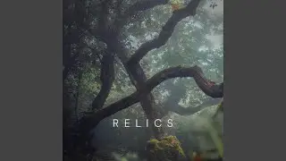 Relics