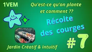 La r&eacute;colte du champ de courges ! 🎃
