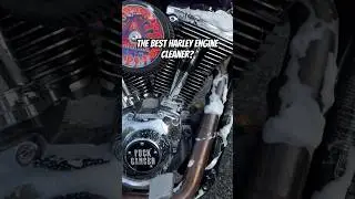 Clean your Harley engine #howto #asmr #cleaning #harleydavidson #harley #detailing #clean #perfect