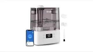 Review: LEVOIT Smart 6L Humidifier &ndash; Cool Mist, Voice Control & Essential Oil Diffuser
