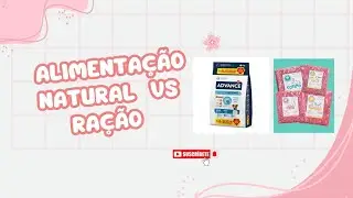 Ra&ccedil;&atilde;o &times; BARF &times; Alimenta&ccedil;&atilde;o natural cozinhada #pets #nutri&ccedil;&atilde;o #c&atilde;es #gatos 