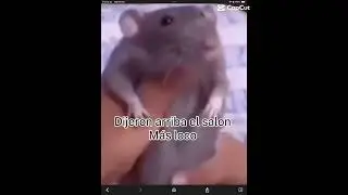 Somos los m&aacute;s castrisos