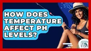 How Does Temperature Affect PH Levels? - Chasing Big Fish