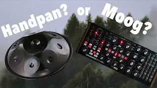 【Handpan?】MOOG SUBHARMONICON JAM with Korg Monologue & Roland Boutique TR-08 #analogsynthesizer