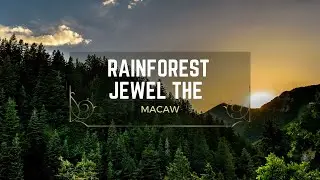 Rainforest Jewel: The Majestic Macaw
