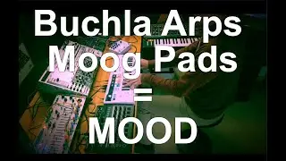 Moody Arps - @buchlausa Easel Command - @MoogSynthesizers Matriarch - @HologramElectronics Microcosm