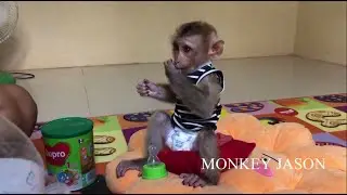 So Lovely! Baby Jason Sit Meditation Catnapped While Wait Mom Fix Milk After Wake Up
