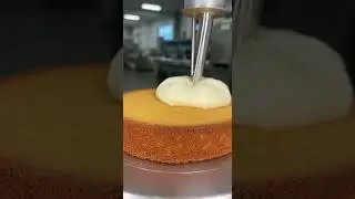 Ultra Satisfying Cake Factory ASMR #cakemaking #factoryprocess #cake