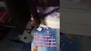 10 июля 2024 г.