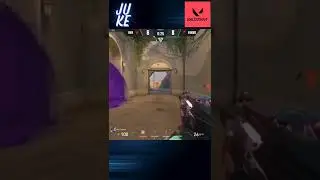 JUGIS DEB&Uuml;T! 🥹 Fokus Clan schl&auml;gt Ovation klar in der VRL DACH!