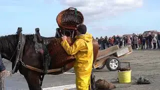 Opdracht aftermovie garnaalvisserij Oostduinkerke