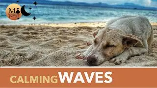 A Meditation For Stress Relief And Anxiety Walk Along The Beach, Meditative Power