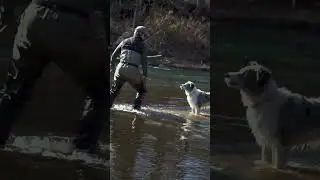 Fly fishing with your dog
