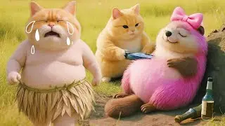 😹 Meow Chubby Shaves the Pretty Squirrel 🐿️ And the Ending Will Shock You!  Meow Chubby Diaries