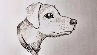 AVANZADOS 9: CABEZA DE PERRITO