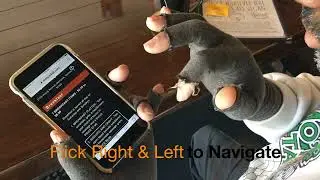 2018 - Menus4ALL Mobile App Prototype Demo by Maxie Maxwell